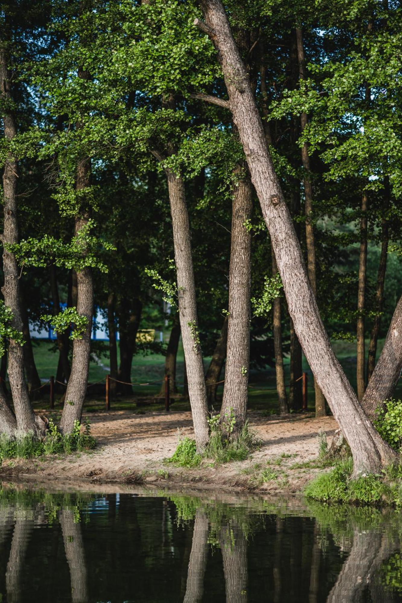 Zacisze,Pl Domki Premium I Bungalowy Deluxe Nad Jeziorem Lagowskim Экстерьер фото